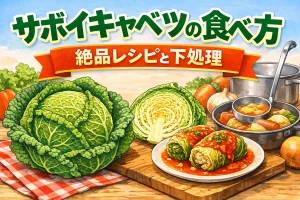 サボイキャベツの食べ方と絶品レシピ・下処理方法を紹介するイラスト